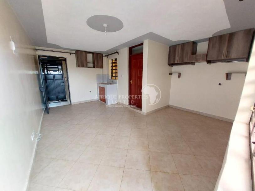 Modern Bedsitters & 1-Bed Apartments in Thika Town | Student & Professional Hub-9