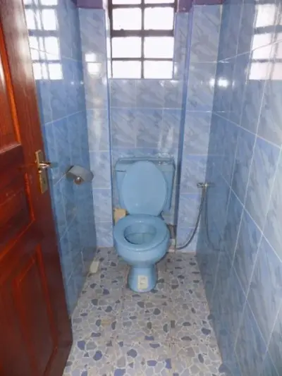 Spacious 1-Bedroom Apartment in Thika | Move-In Ready